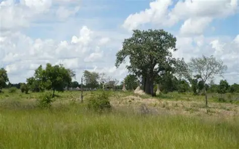 Parque Nacional da Mupa